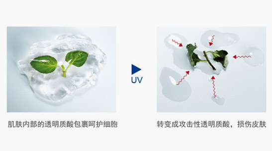 当前图片注释